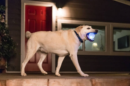 Planet Dog Orbee-Tuff Strobe Ball Light Up Dog Toy White