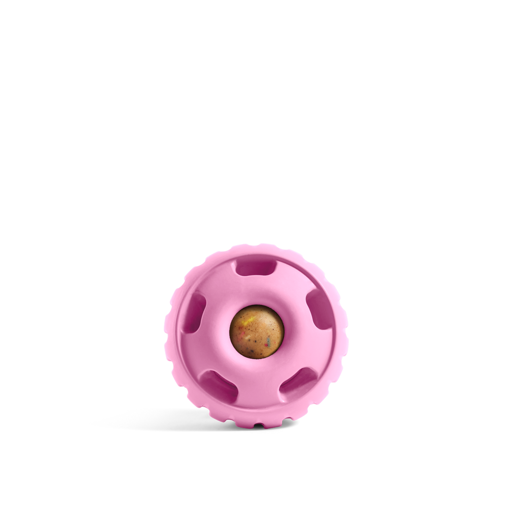 Party Pupsicle: Pink