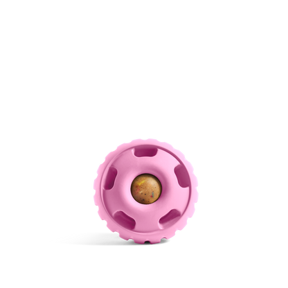 Party Pupsicle: Pink
