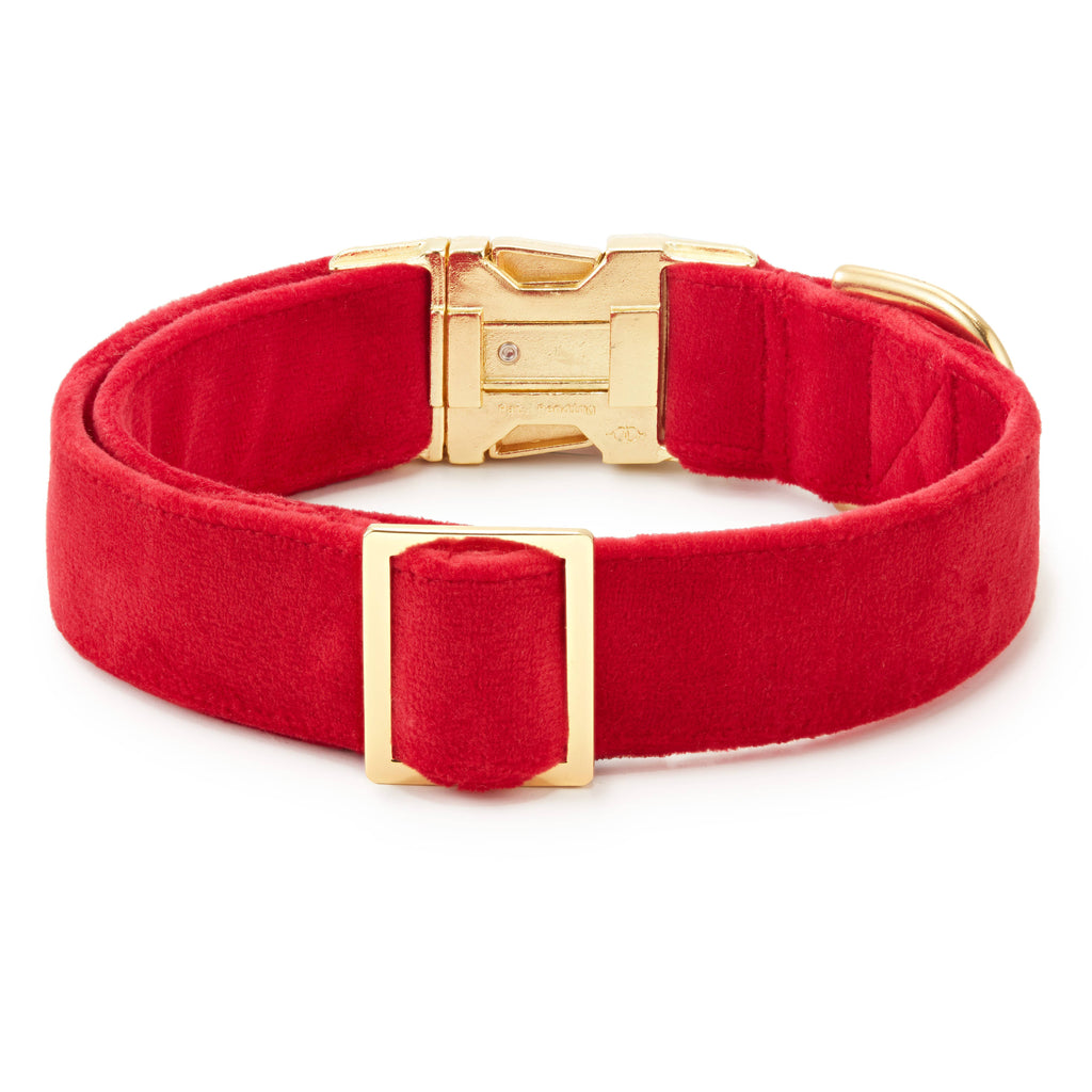 Cranberry Velvet Dog Collar: Gold