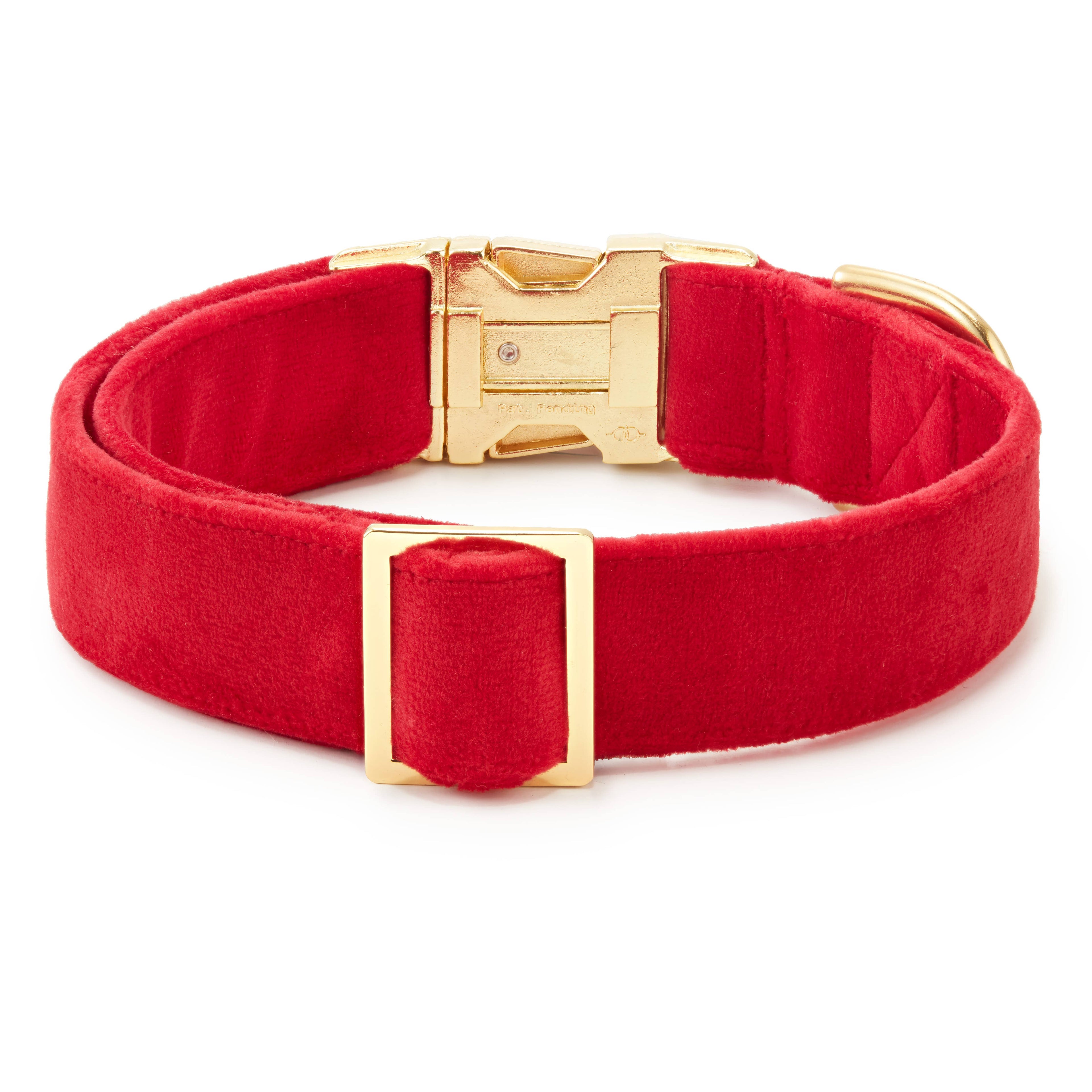 Cranberry Velvet Dog Collar: Gold
