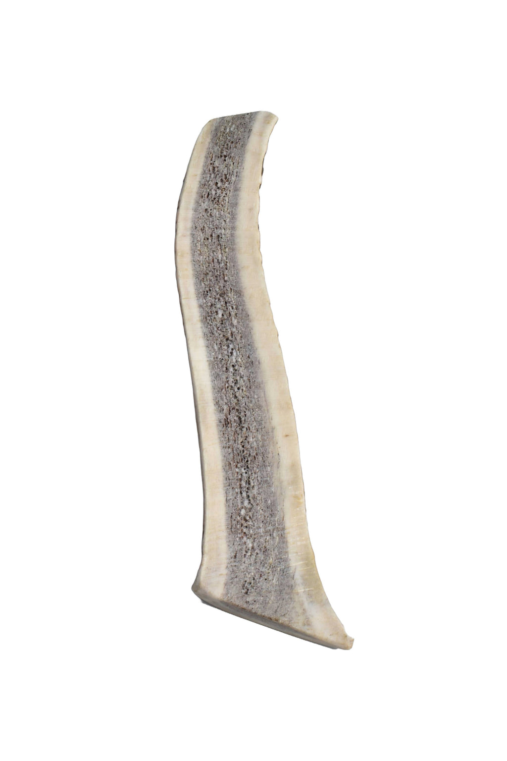 Elk Antler (Medium) - Split: Single