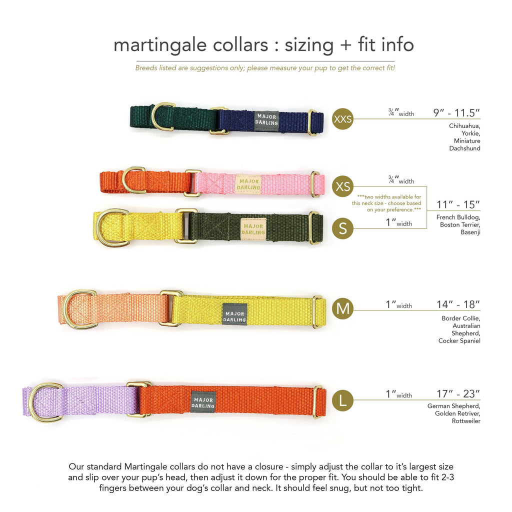 Martingale Collar / Forest + Olive: Small