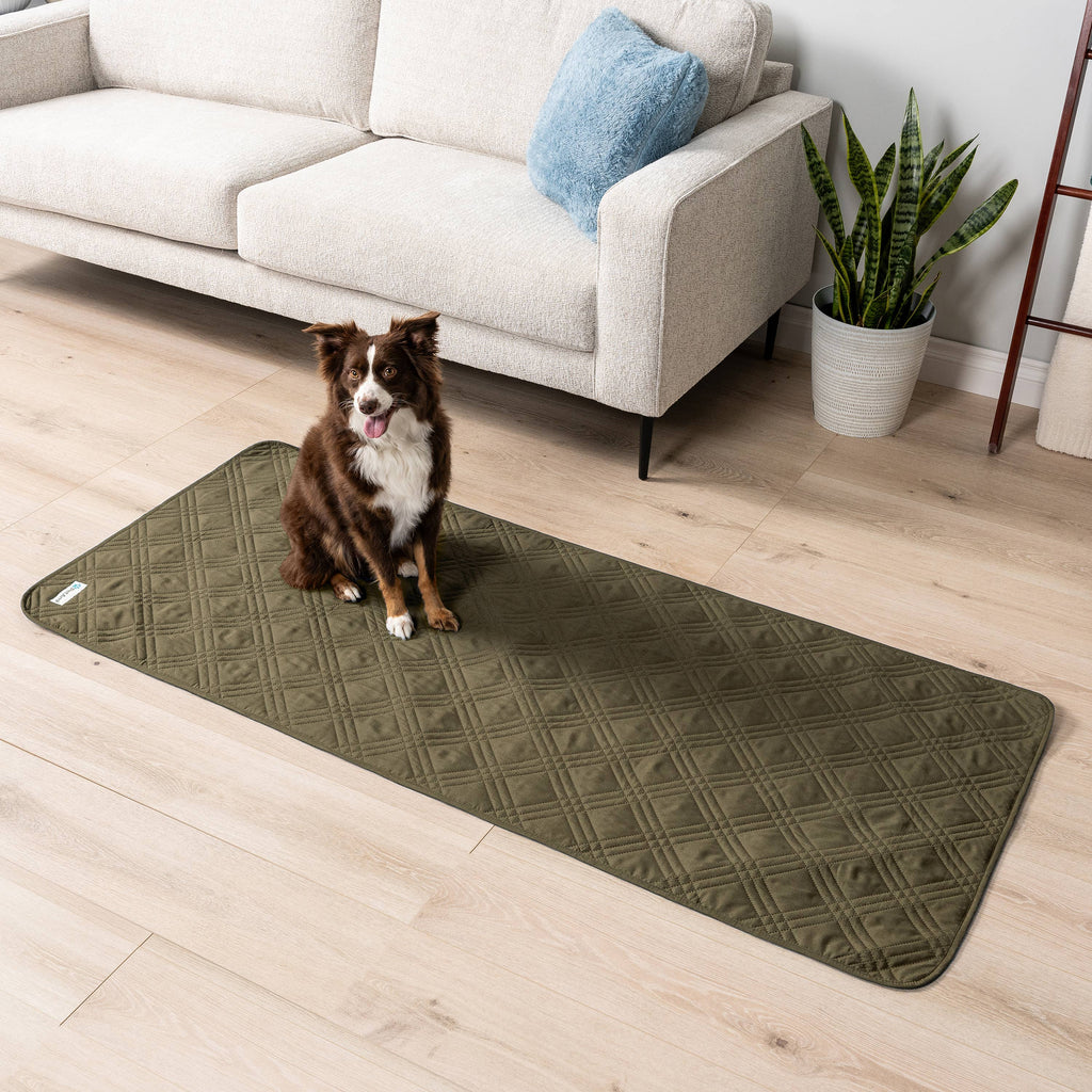 Waterproof Pet Furniture Cover Couch Protector: Olive Green / Large - 68" x 82"