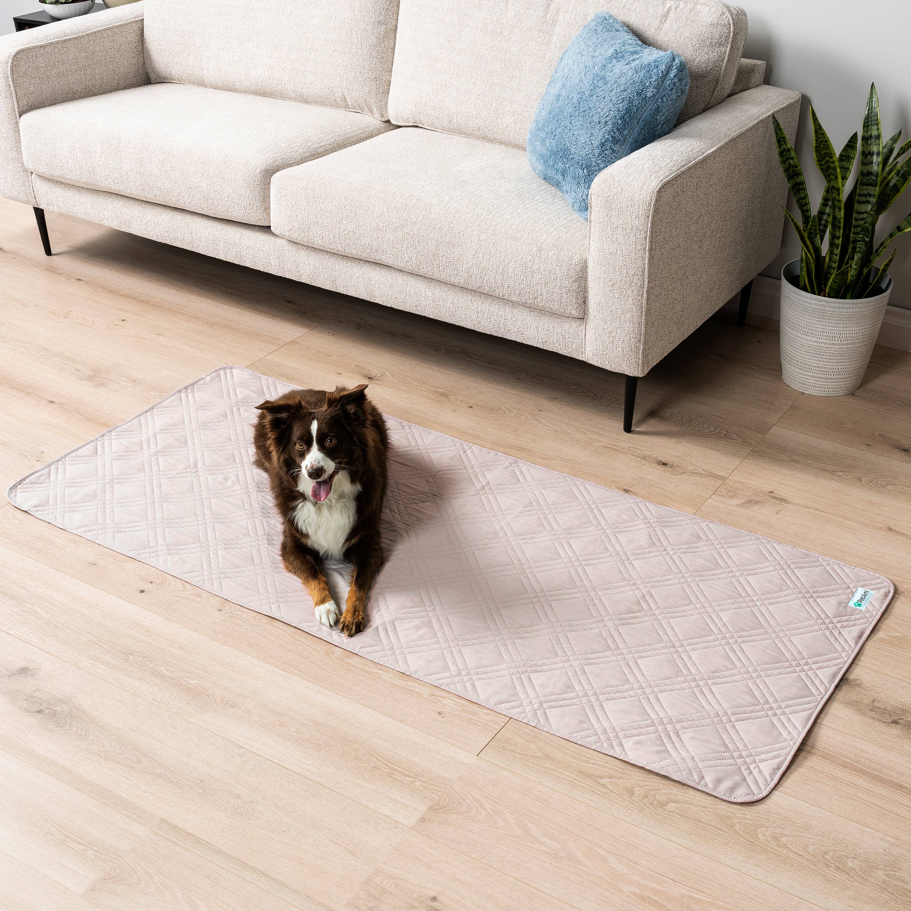 Waterproof Pet Furniture Cover Couch Protector: Olive Green / Large - 68" x 82"