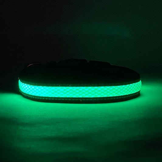 LED Dog Collar: Green