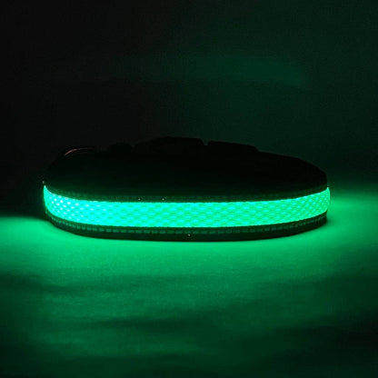 LED Dog Collar: Blue / Small