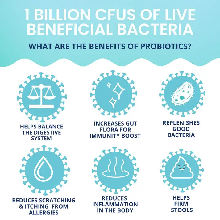 Under the Weather Probiotic Soft Chew 60ct