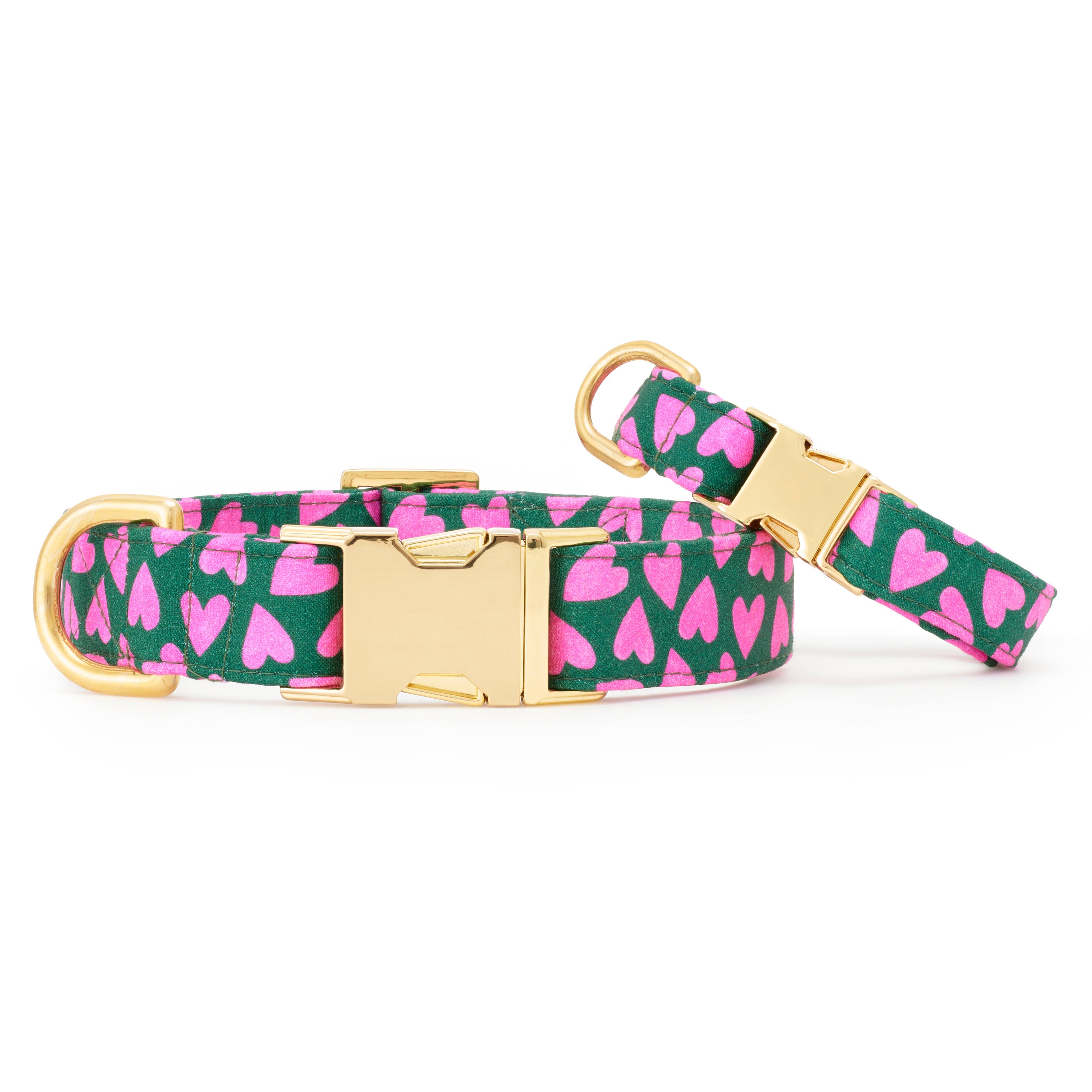 Lovestruck Valentine's Day Dog Collar