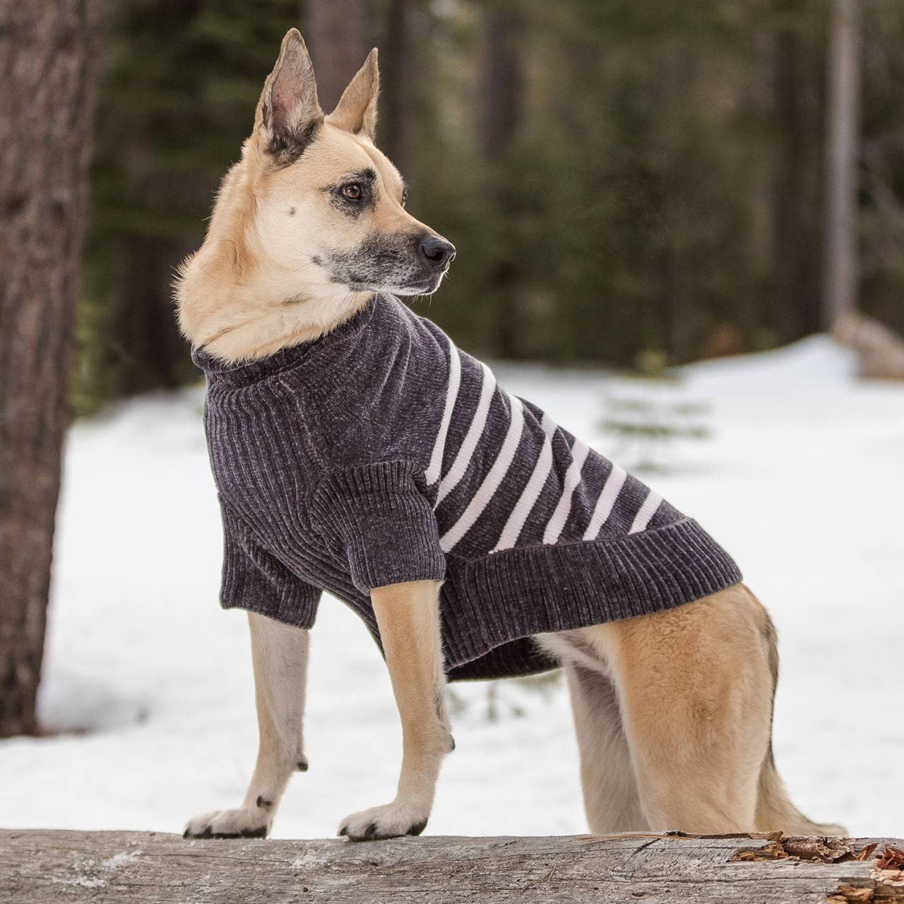 Dog Sweater, Chenille Classy Striped Sweater, Chic Grey