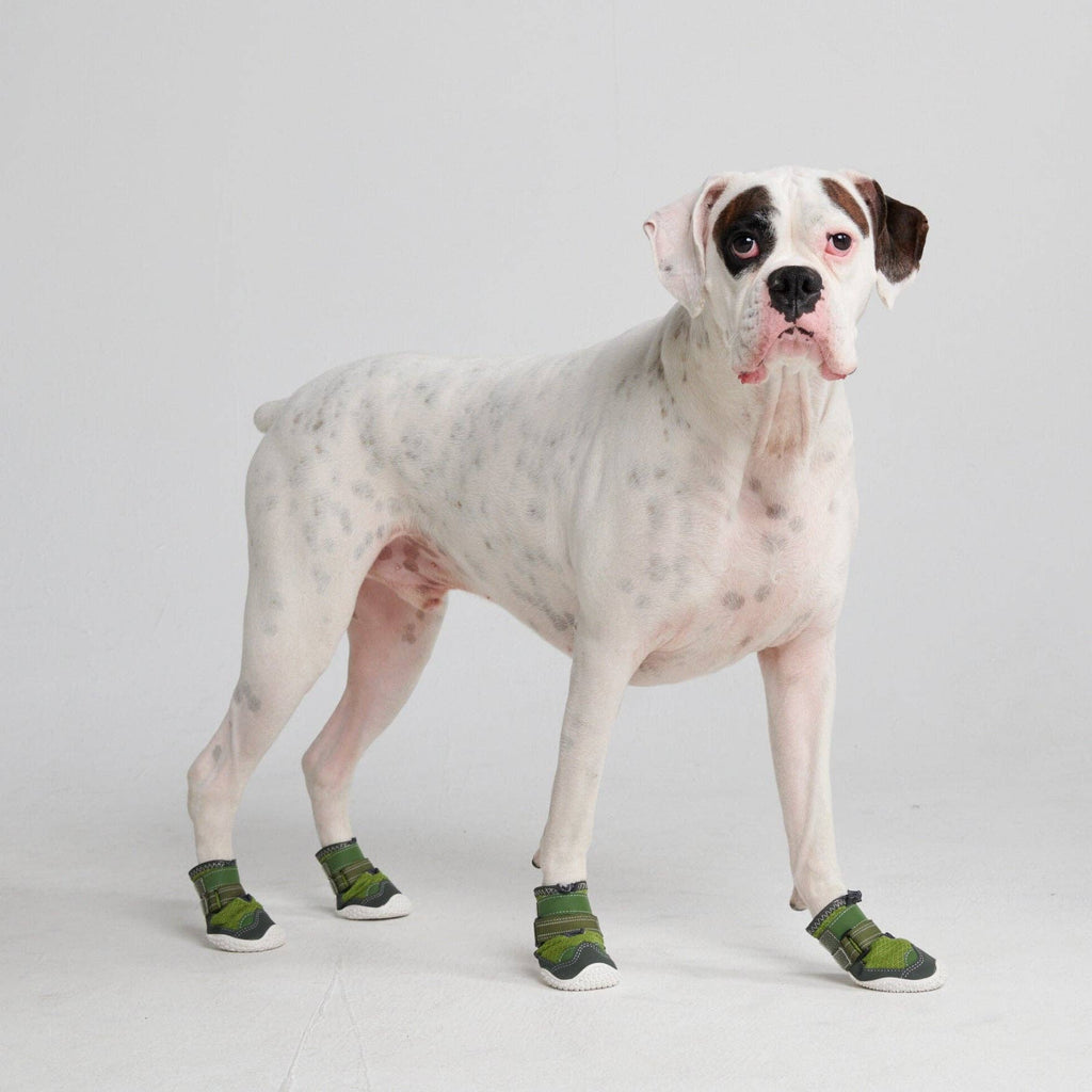 Hot Pavement Pawtector Dog Shoes - Green: D (7.1cm-8.0cm / 2.8"-3.1")