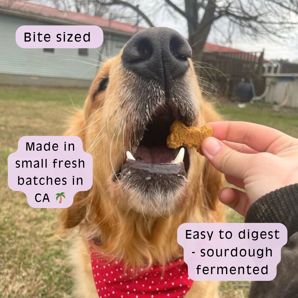 The OG - Sweet Potato Sourdough Dog Treats