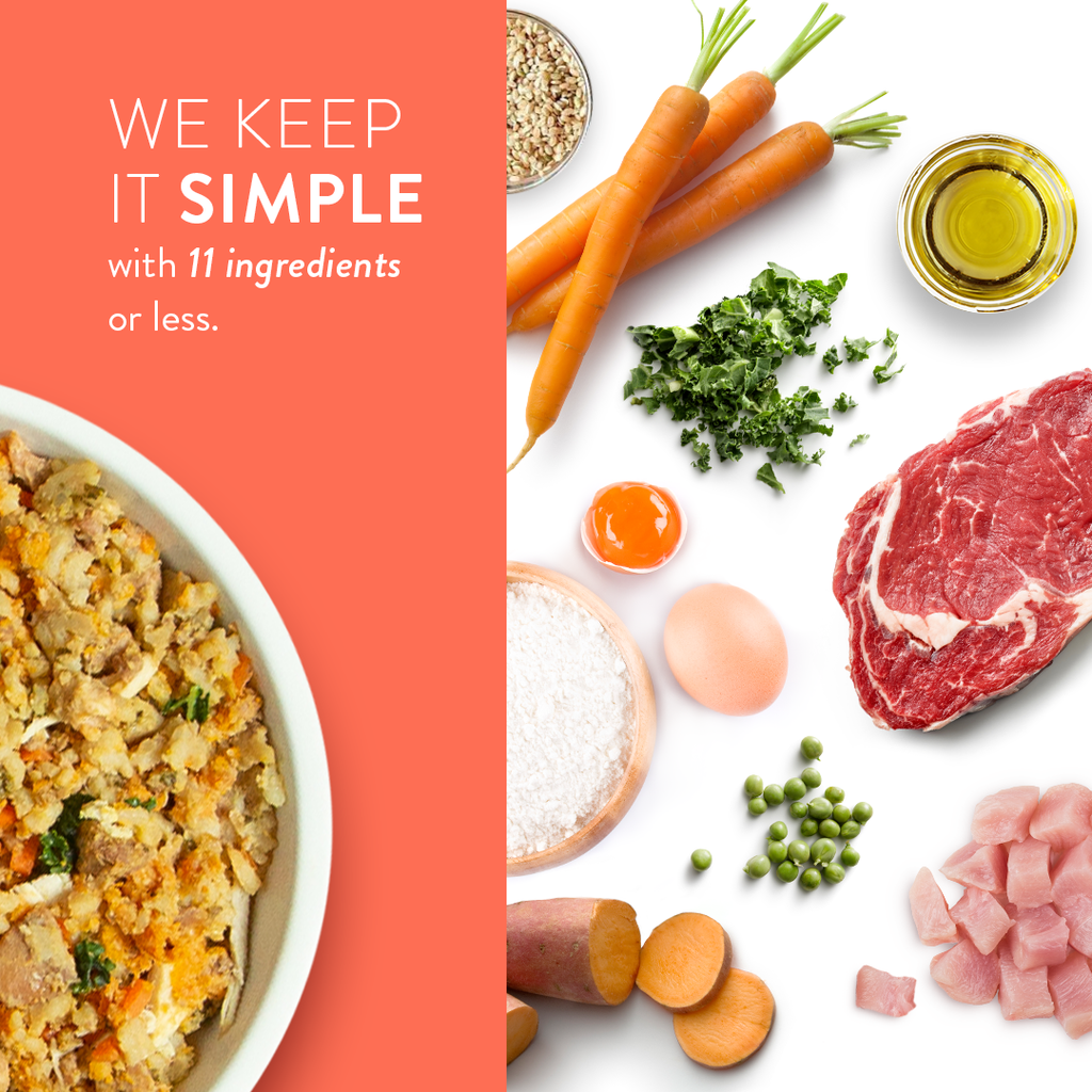 Tuxedo's Chicken & Yams Human Grade Fresh Wet Food Dog Pouch