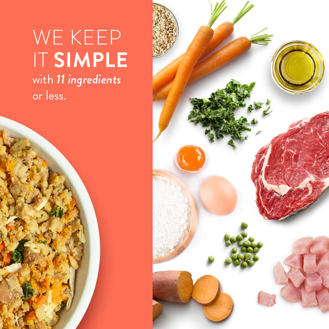 Tuxedo's Chicken & Yams Human Grade Fresh Wet Food Dog Pouch