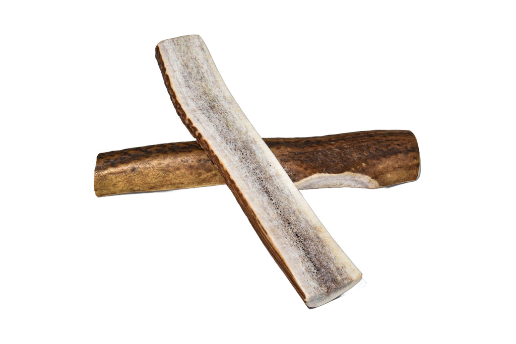 Elk Antler (Large) - Split: Single