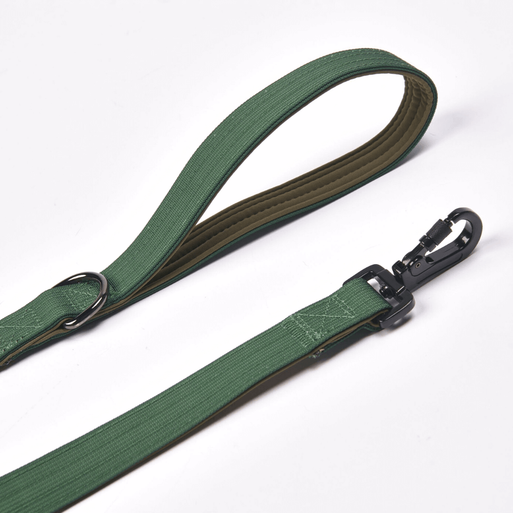 Comfort Control Dog Leash - Green: OS