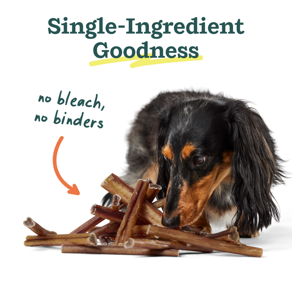 BullySafe Chews - Pure Collagen: Beef / 12-inch 5 pack