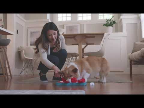 Nina Ottosson Dog Brick Interactive Treat Dog Puzzle Blue