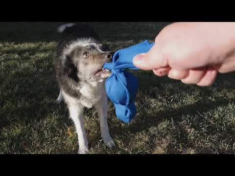 KONG® Wubba Dog Tug Toy XL
