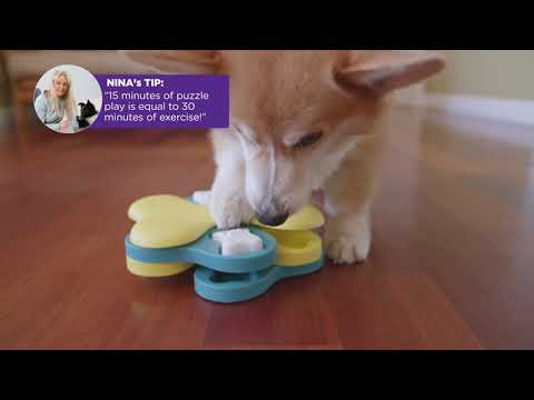 Nina Ottosson Dog Tornado Interactive Dog Toy Blue/Yellow