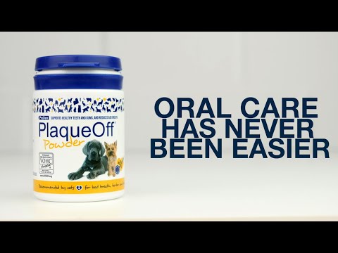 PlaqueOff Powder 60 Gram Bottle