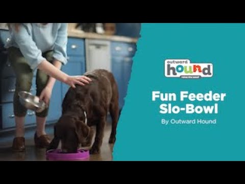 Outward Hound Fun Feeder Slo Bowl Purple Small