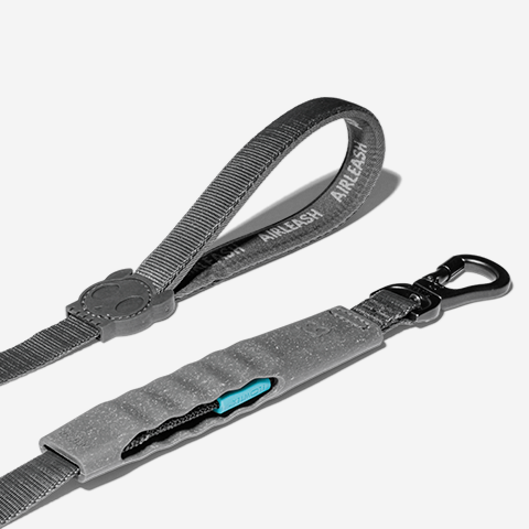 Carbon | Airleash