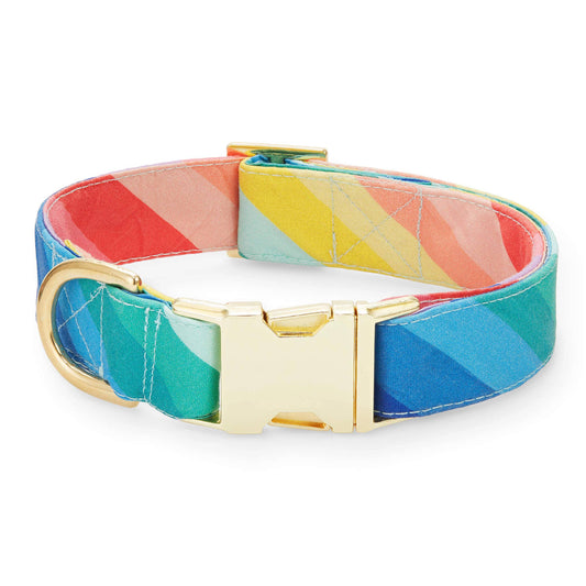 Over the Rainbow Dog Collar