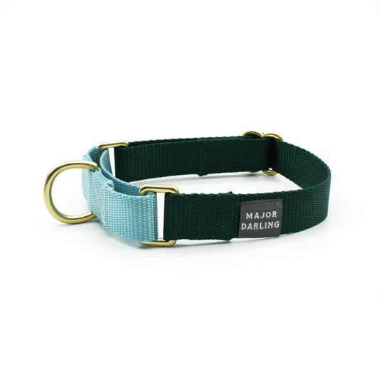 Forest with Ice Blue Martingale Collar