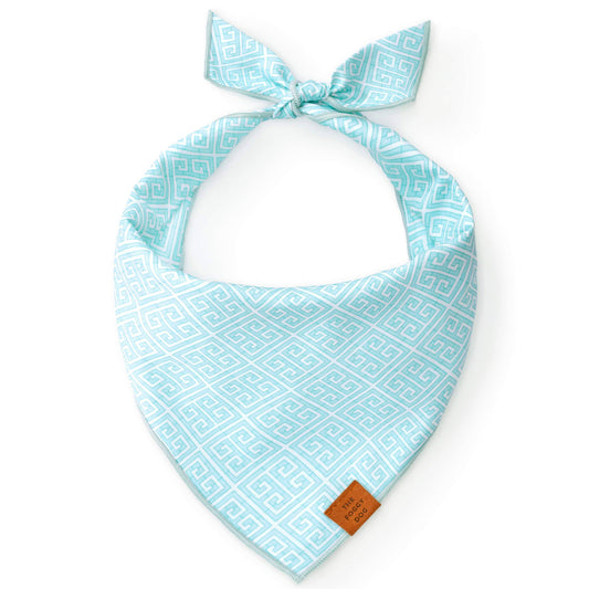TFD x Simplified® Mint Mandalay Dog Bandana