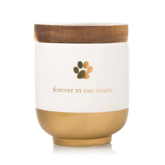 Pet Ceramic Urn Memory Jar