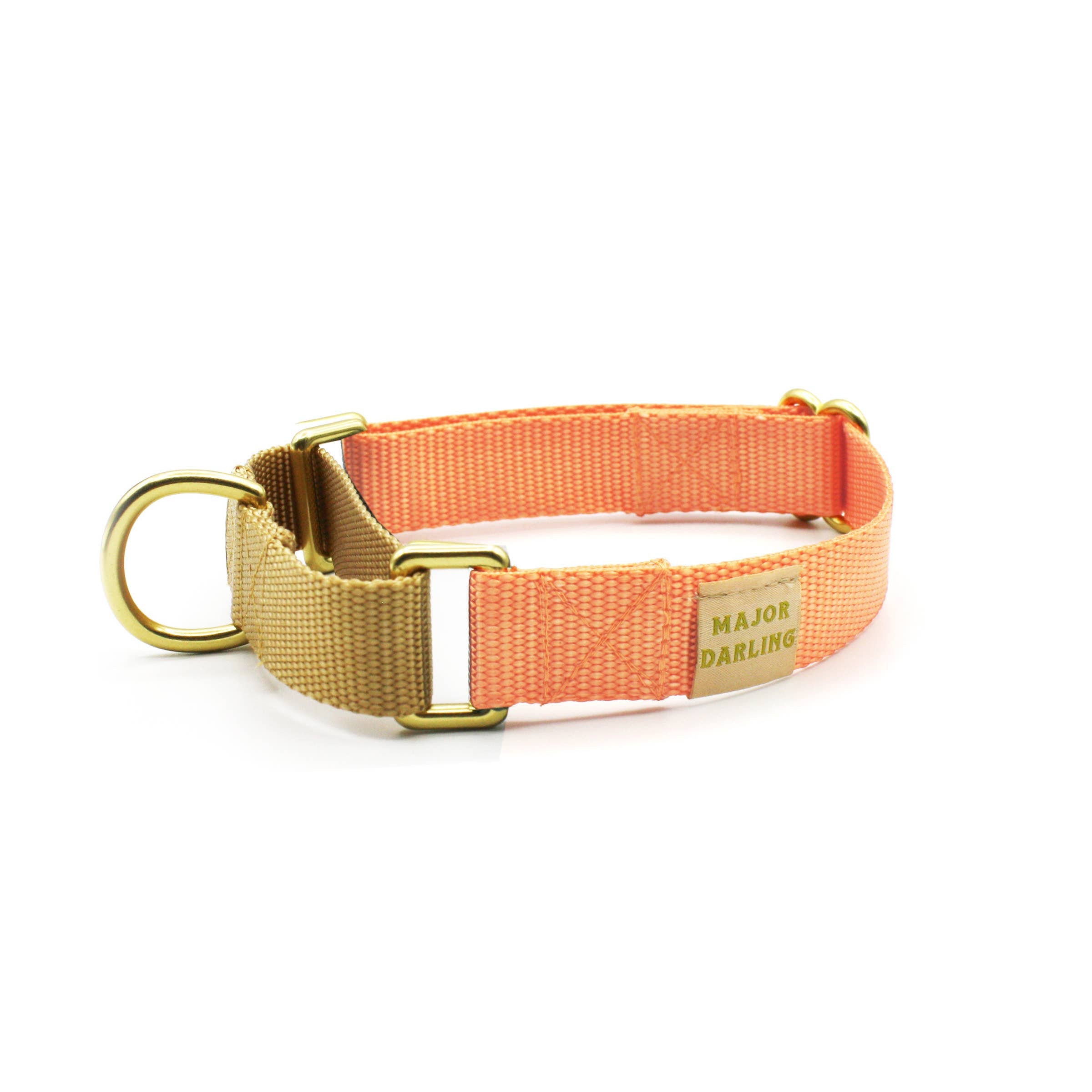 Peach with Gold Martingale Collar