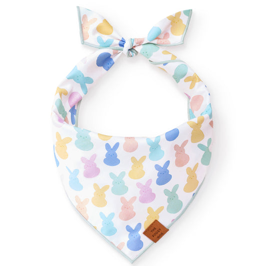 Sugar Bunnies Easter Dog Bandana