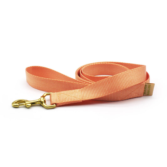 Peach Leash