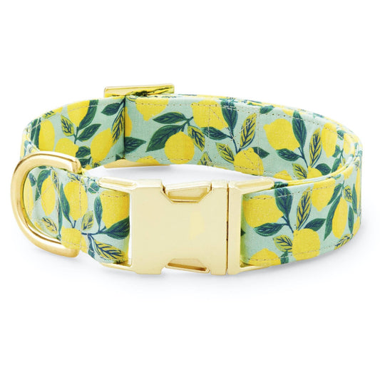 Lemon Zest Dog Collar