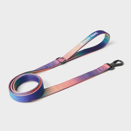 Comfort Control Dog Leash - Kaleidoscope