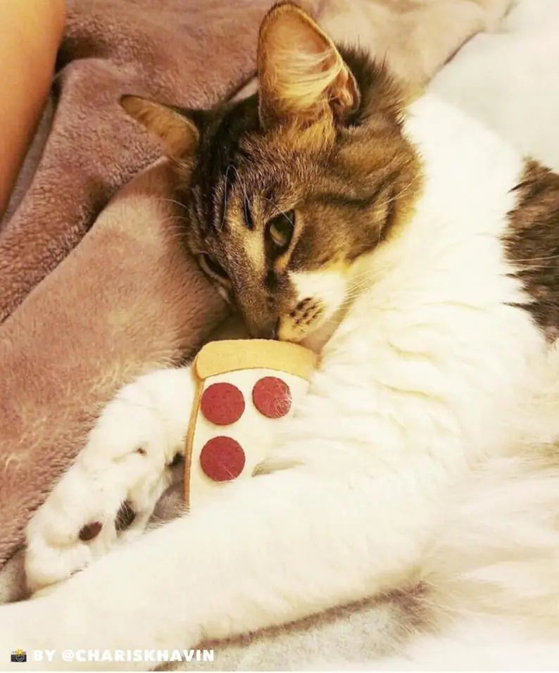 Catnip Pizza Cat Toy