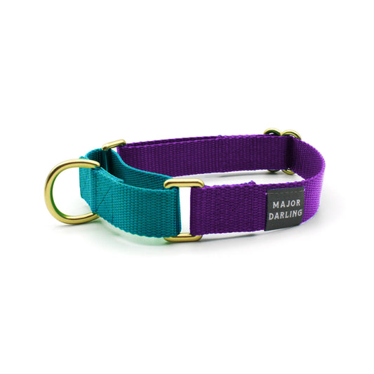 Violet with Teal Martingale Collar