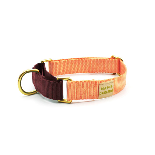 Peach with Merlot Martingale Collar