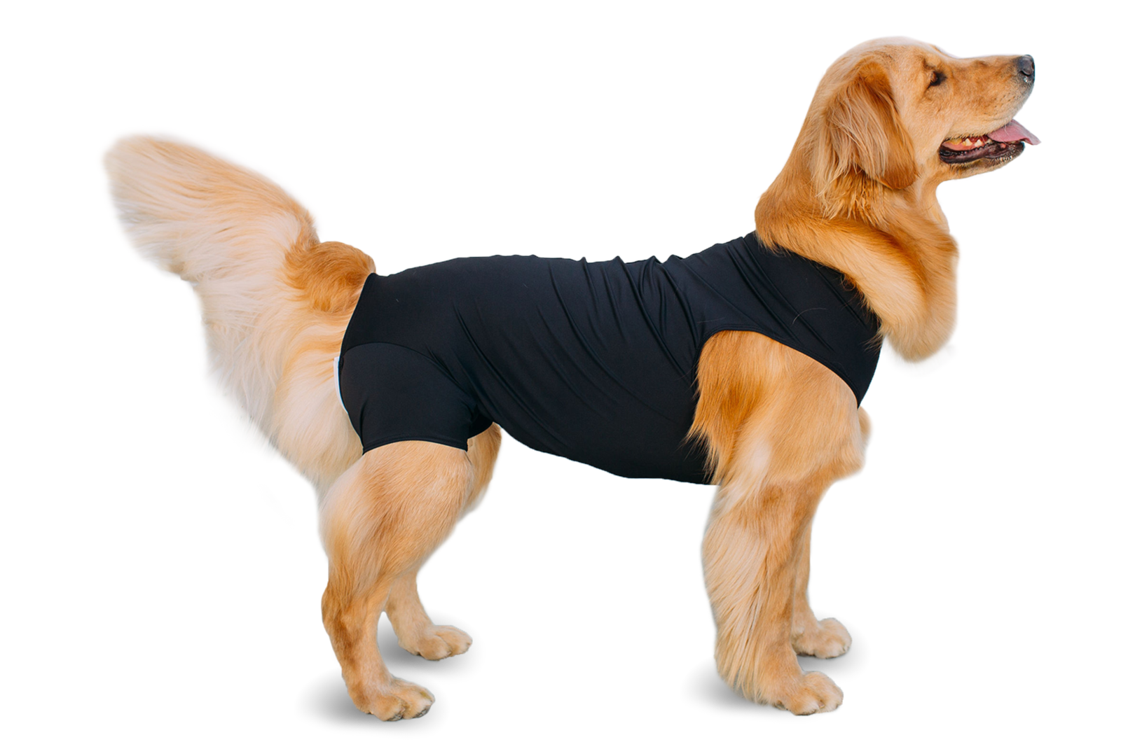 Shed Defender Recovery Onesie: Black