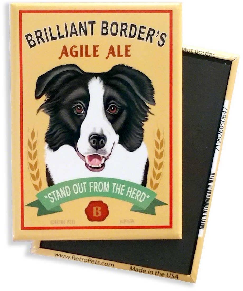 Magnet Border Collie "Brilliant Border"