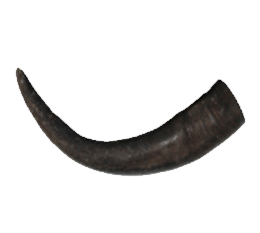 Premium Water Buffalo Horns - Medium