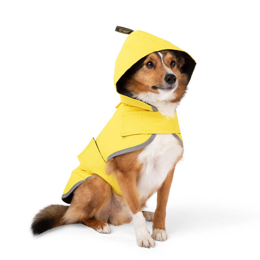 Rain Coat Nandog Sport Collection